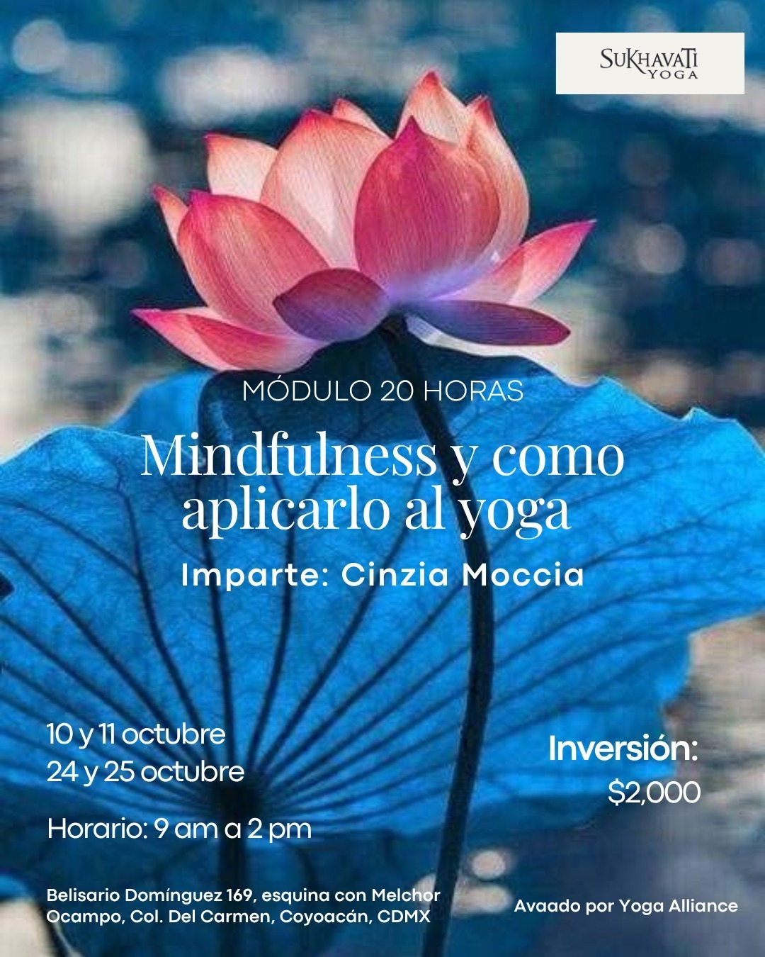 Conoce más >>